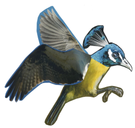 Morgaine Rire // Luna F. Redelinghuys